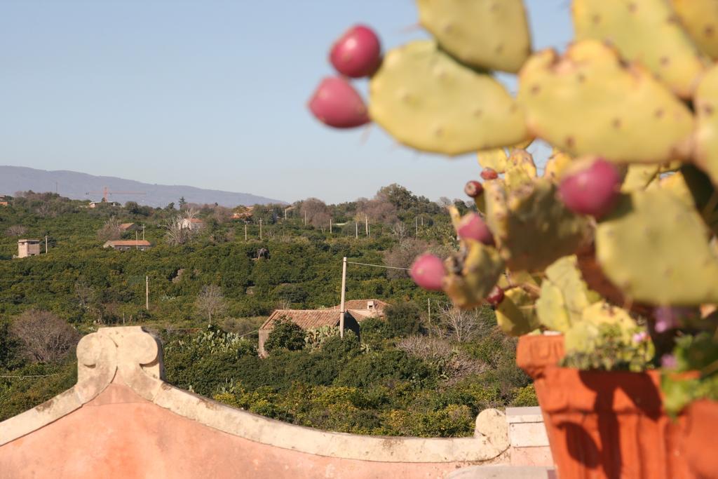 Villa Dei Leoni سانتا تيكلا المظهر الخارجي الصورة