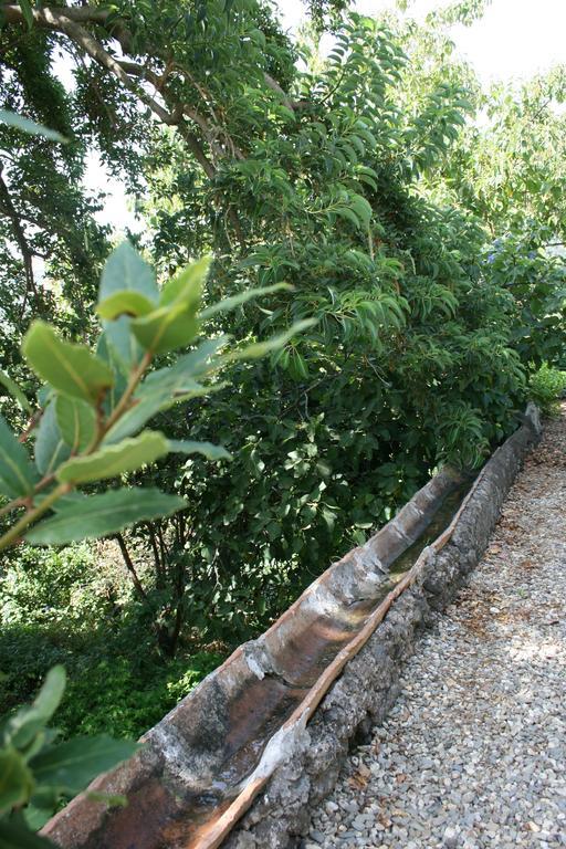 Villa Dei Leoni سانتا تيكلا المظهر الخارجي الصورة