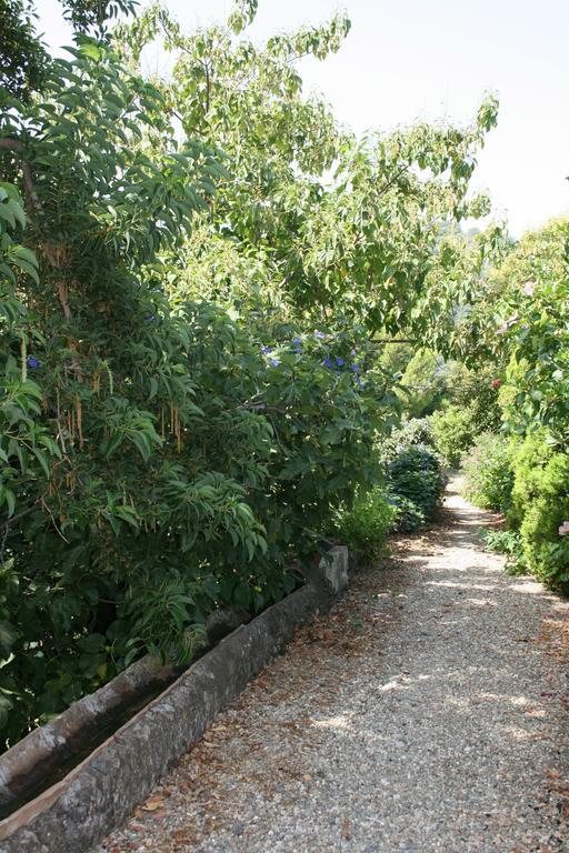 Villa Dei Leoni سانتا تيكلا المظهر الخارجي الصورة